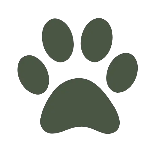 Services A simple, dark paw print icon with four oval toes and a rounded base, displayed on a black background.